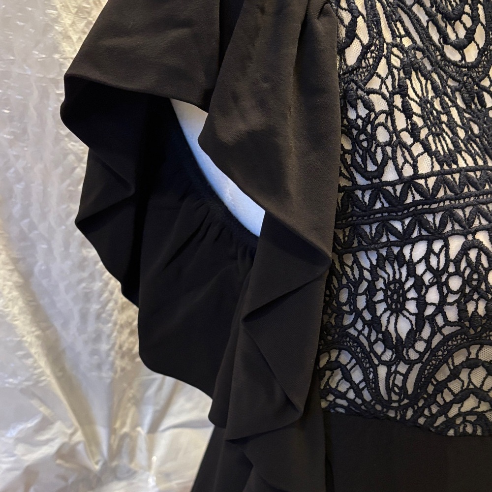 RED Valentino Black Lace Top - Size Medium - Picture 3 of 12
